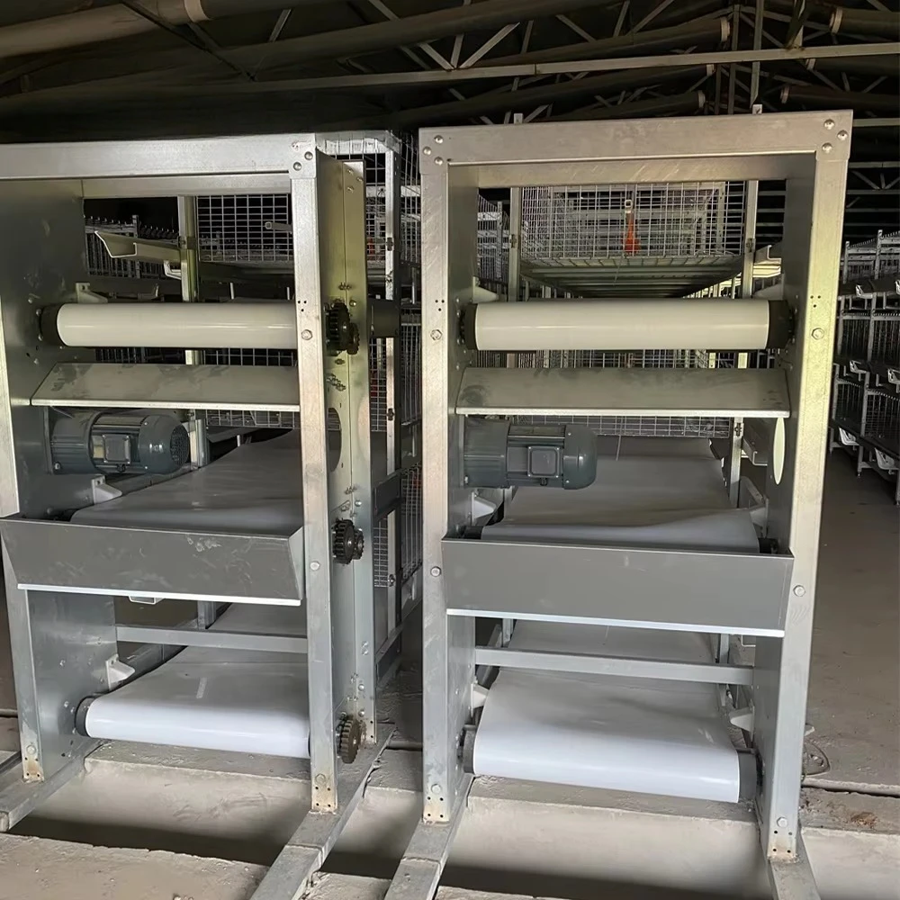 High Efficiency Automatic Manure Handling Equipment for Chicken Poultry House
