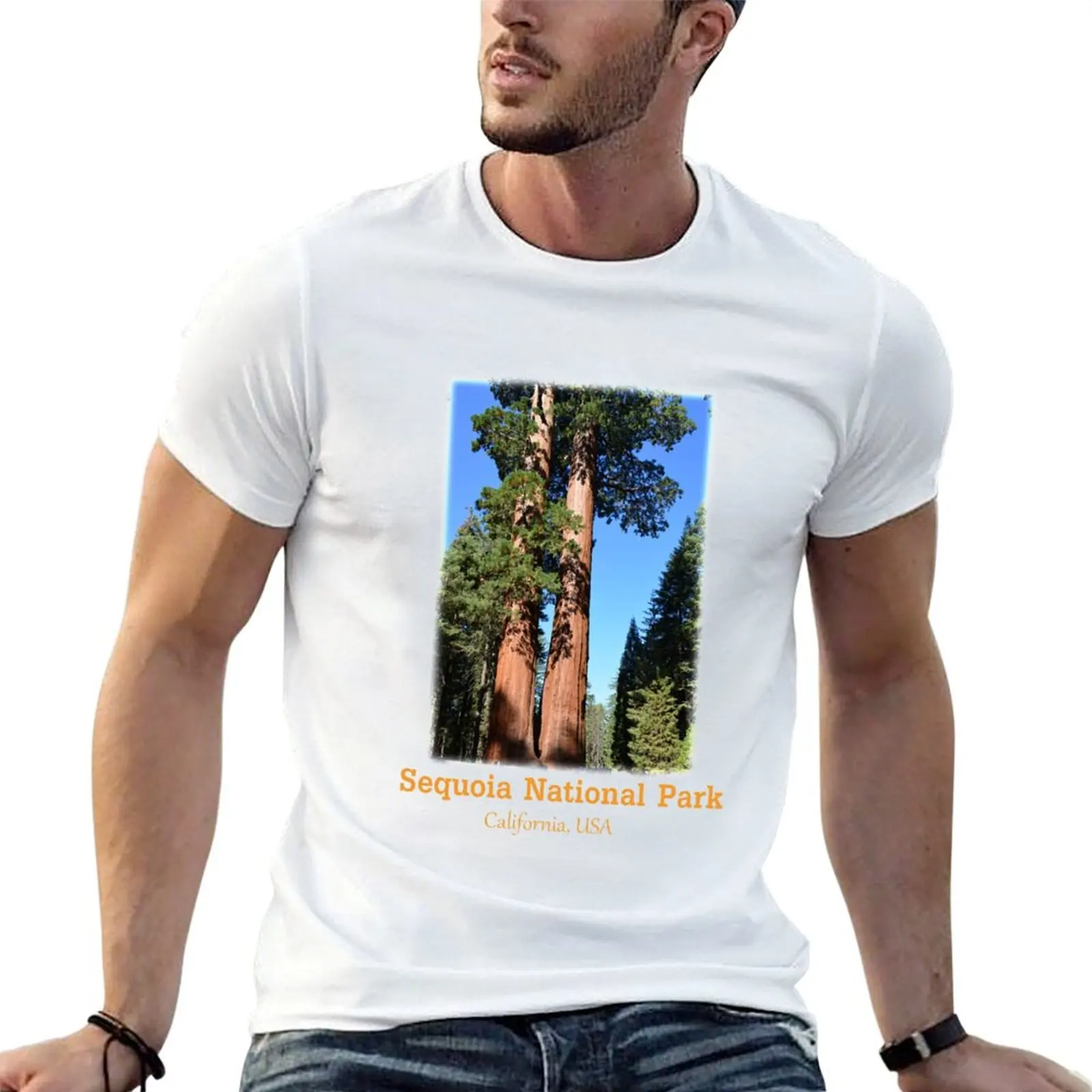 Giant sequoia trees in Sequoia National Park T-Shirt Lightweight Gym Training T-Shirt