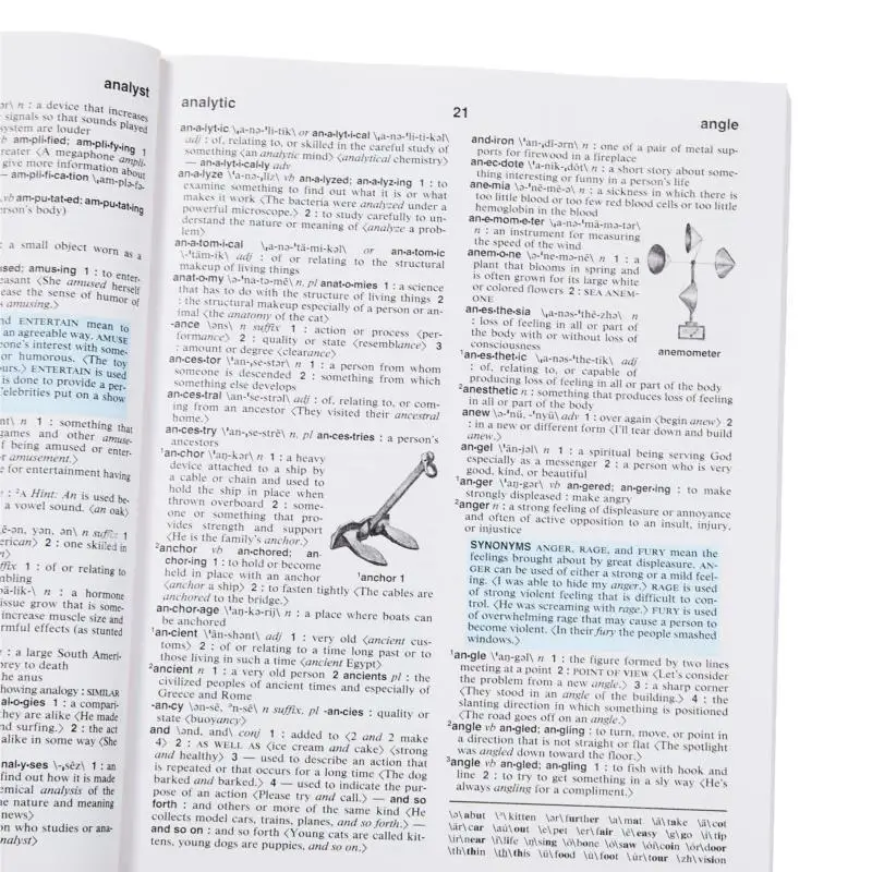 قاموس MerriamWebsters للأطفال MerriamWebster MerriamWebster 9780877795704 كتاب #4