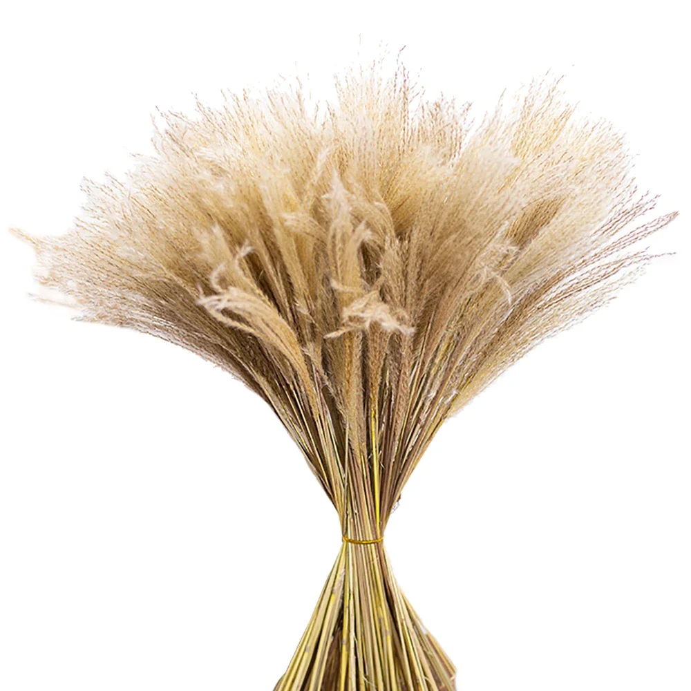 Artificial Flowers Pampas Grass Decor Tall Phragmites Plants Home Decoration 20pcs Reed Photography Prop Fake Flower