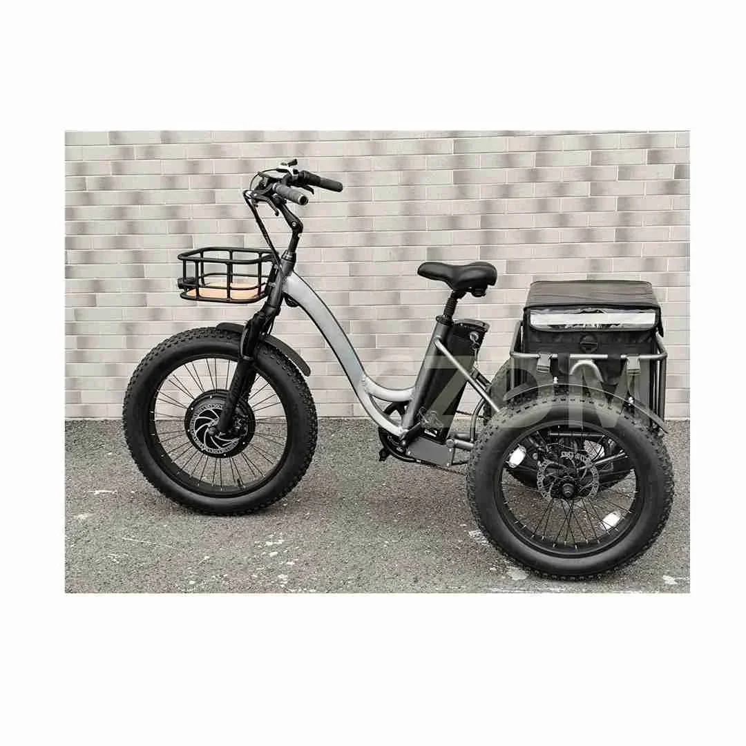 1000W 20 Inch Tricycle Electric Tricycles 3 Wheel Electric Cargo Bike Tricycle Taxi Moto