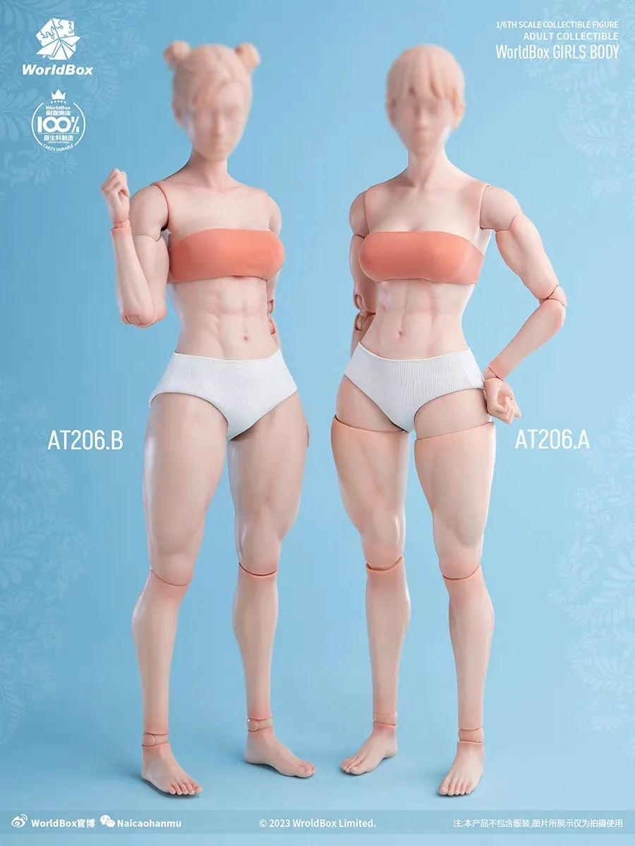 Worldbox At206 At201 At203 1/6 Scale Female Muscle Joint Body Pale