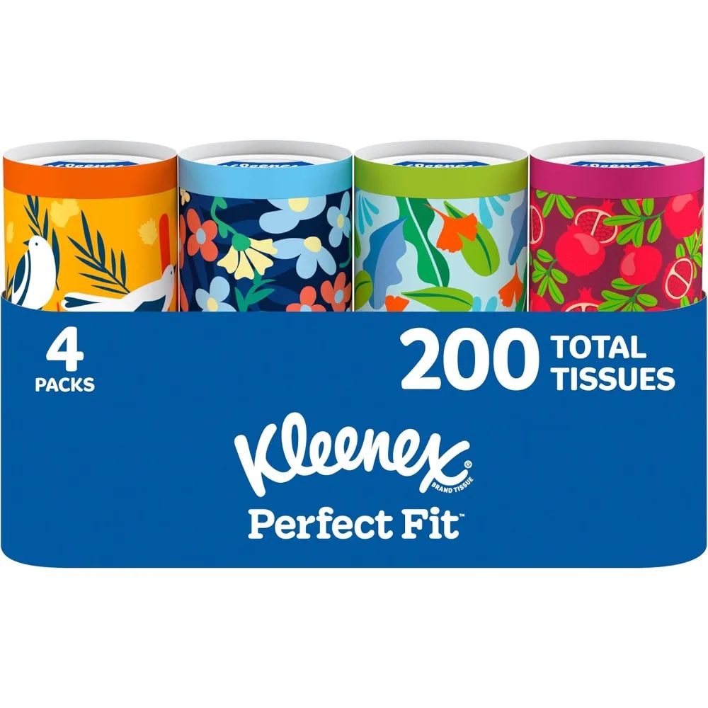 Premium Ultra Soft 2-Ply Facial Tissues in Decorative Canisters Set of 4 for Home Office or Car Gentle on Skin for Daily Use with 200 Total Tissues 50 Tissues per Canister Hypoallergenic and Lint Free Disposable Tissues