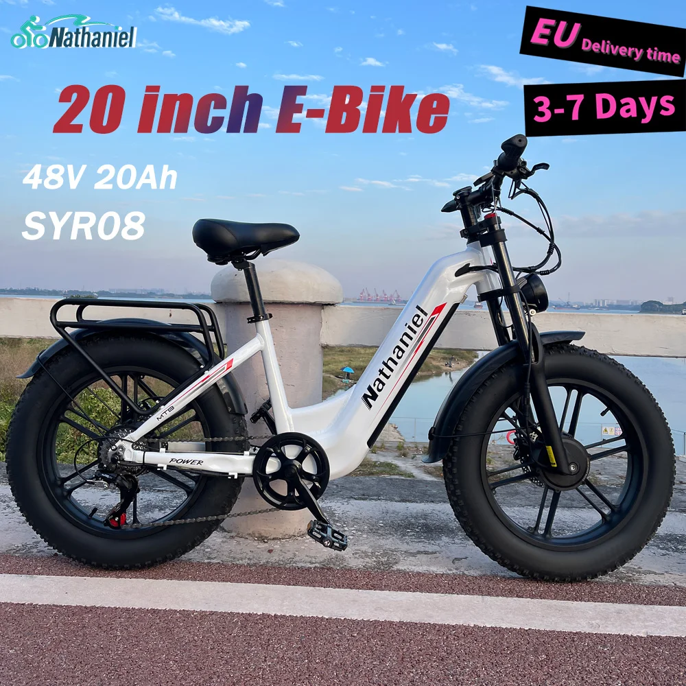 Dual Drive Integrated Wheel E-Bike 2000W 20x4.0 Tire 48V20AH for Urban Commuting & Off-Road Snow/Sand