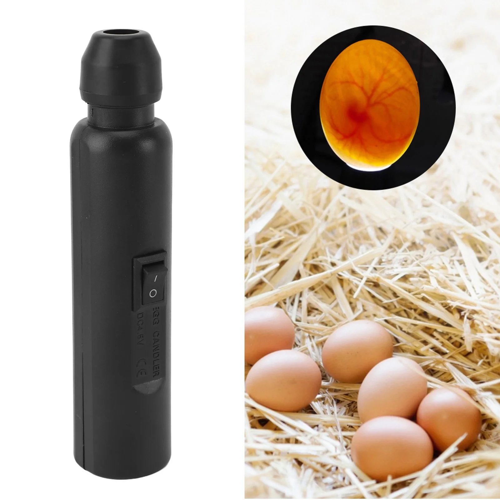 ZK40 Professional Egg Candler USB Rechargeable Soft Cold Light Egg Hatching Tester Candling Lamp for Science Experiment