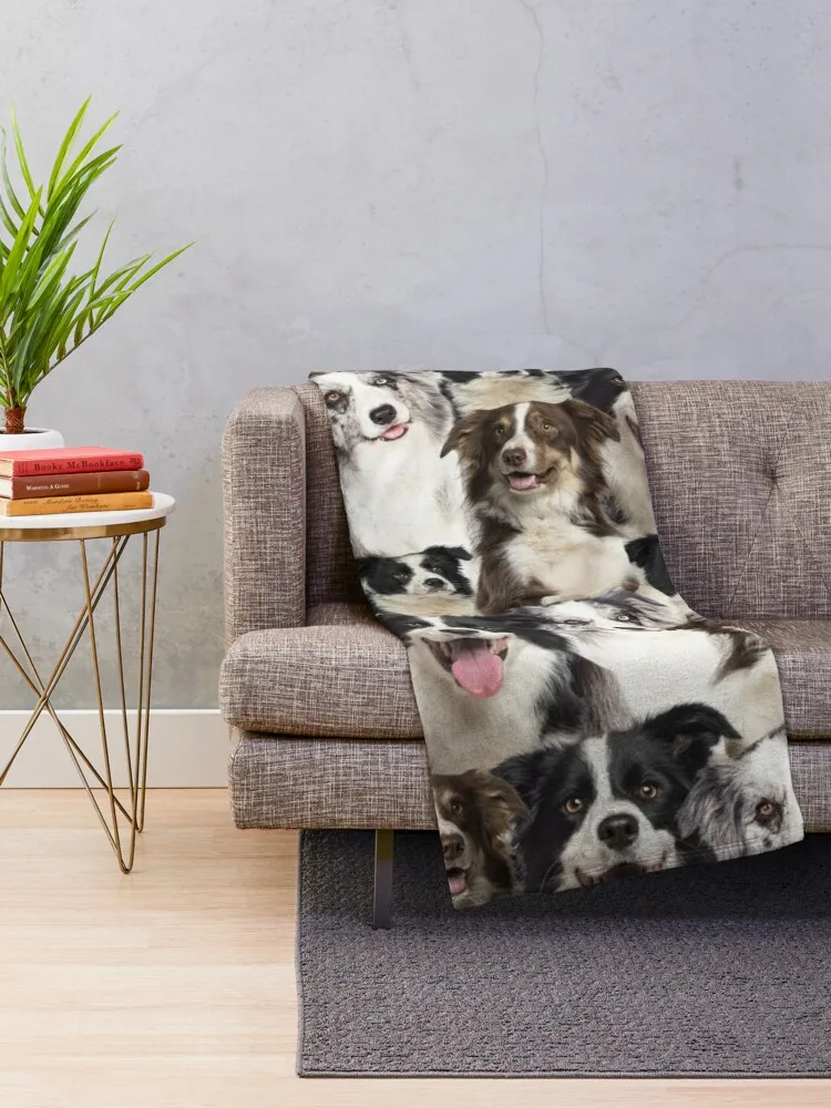 Border Collie Dog Throw Blanket Decorative Sofas fluffy Blankets