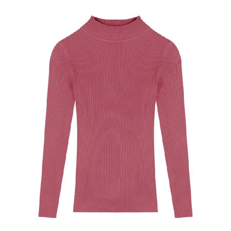 Herbst Winter Neue Dame Slim Fit Gestrickte Tops Mädchen Klassische Pullover Pullover Frauen High Neck Unterwäsche Pullover Kleidung