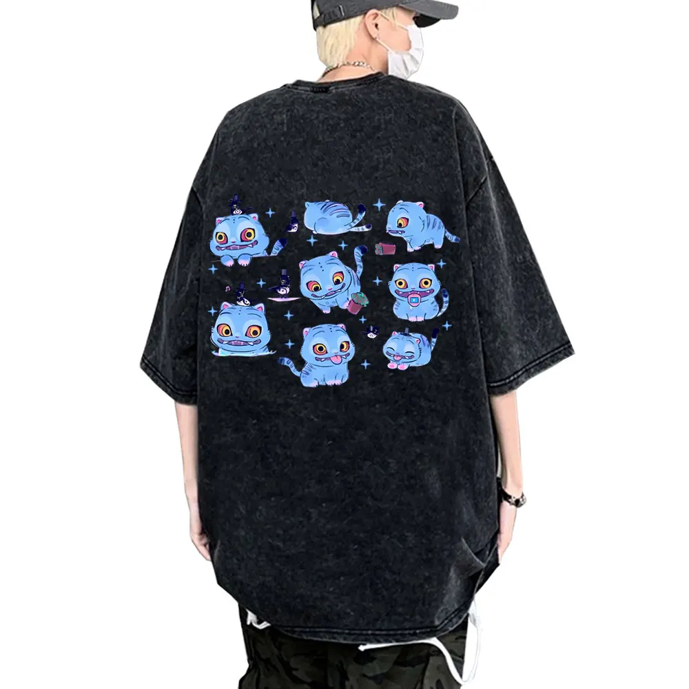 

Kpop Demon Hunters Vintage Washed T-shirts Derpy Tiger Funny Meme T-shirts Men Women Fashion Cartoon Trend T Shirts Fans Gift