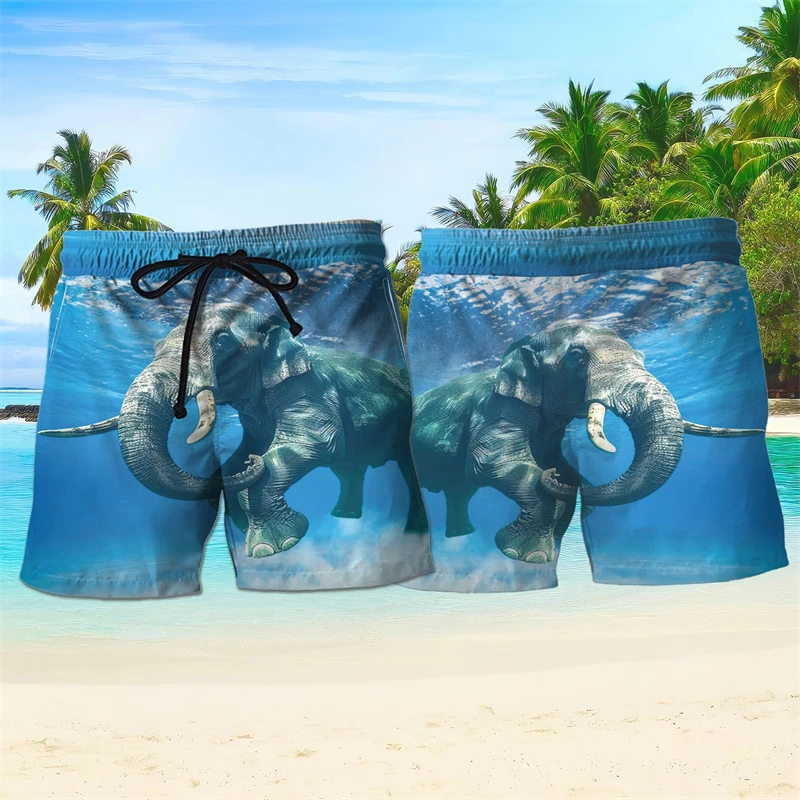 مضحك الفيل الجرافيك هاواي سراويل قصيرة الصيف عطلة عطلة عطلة ثلاثية الأبعاد مطبوعة شورتات للبحر فضفاضة Harajuku السباحة جذوع