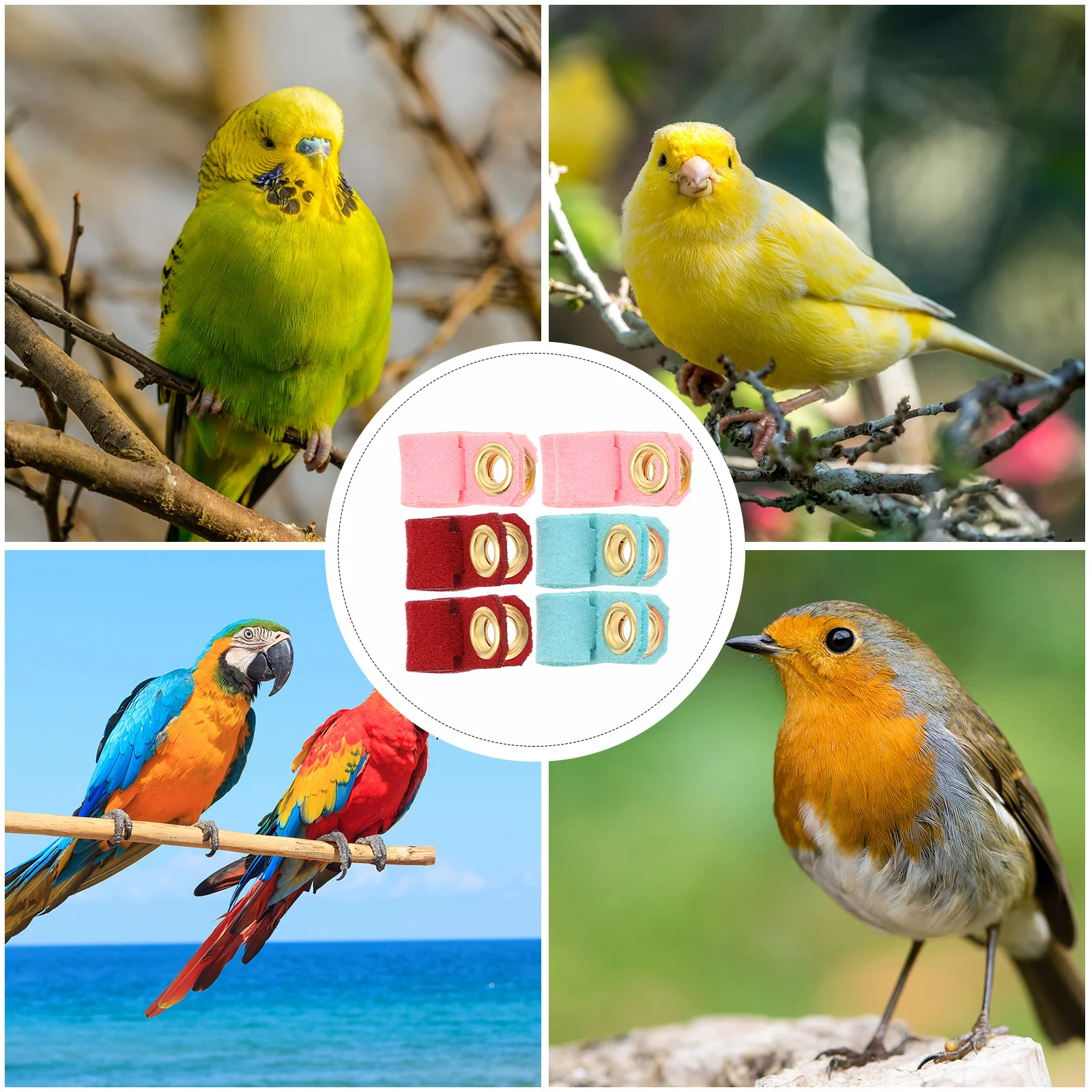 6Pcs Parrot Leg Bands Soft Adjustable Training Accessories Bird Foot Rings Identification Tool for Small Birds Parakeets Pigeons