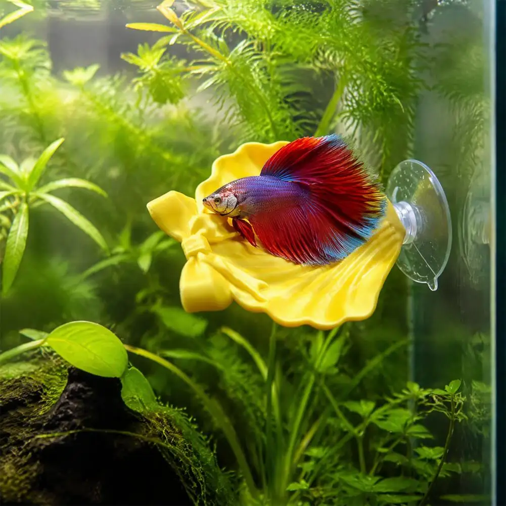 Betta Hammock Shell, Suction Cup Shell with Bow Fish Bed Resting Spot Bubble Nesting Bed for Betta Fish Tank Decor