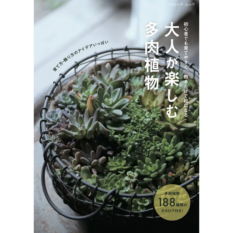 

Sculptures For Adults Bootic Company Bootic Company 9784834776898 Book