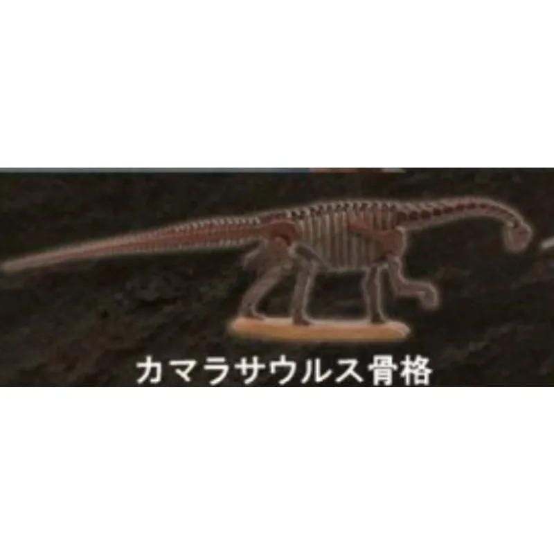 Original Kaiyodo Gashapon Dinosaur Excavation T-rex Qversion Anime Action Figure Model Toys Gifts Cartoon Character Collection