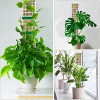 Moss Pole Plastic Plant Stand Indoor Climbing Plants Guardian Tutors Pot Moss Stick For Plants Growth Garden Support Accessories 6
