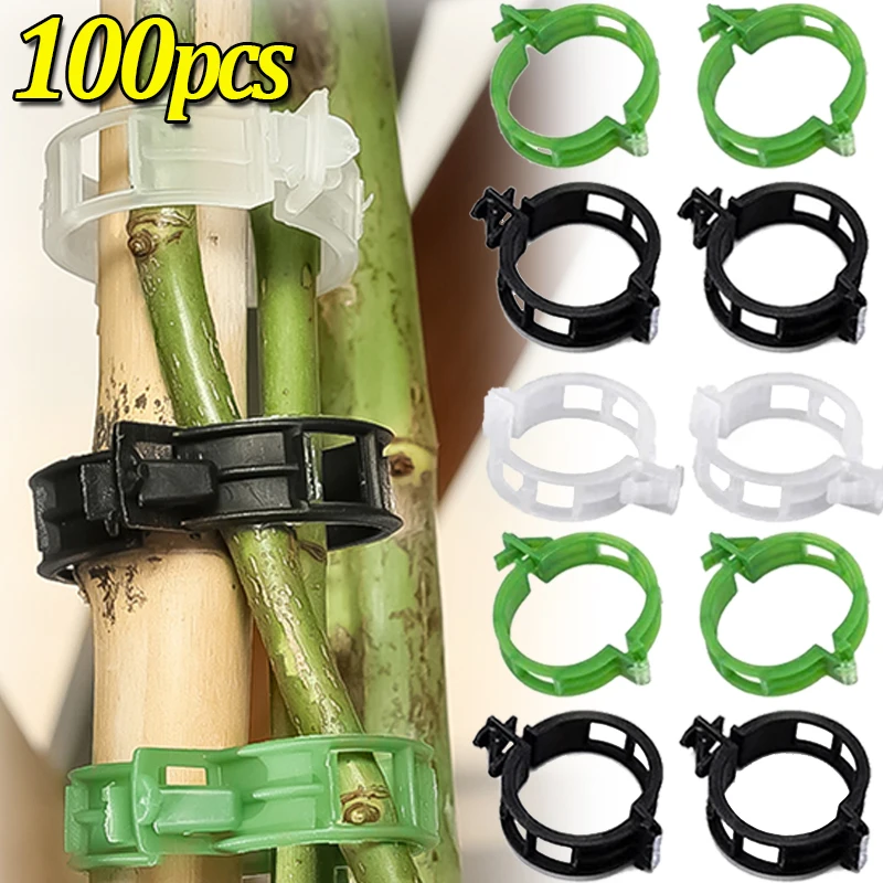 

10/100PCS Plastic Plant Support Clips Reusable Grafting Fixing Buckles Grapevine Tomato Vine Growth Fixing Tools Garden Supplies