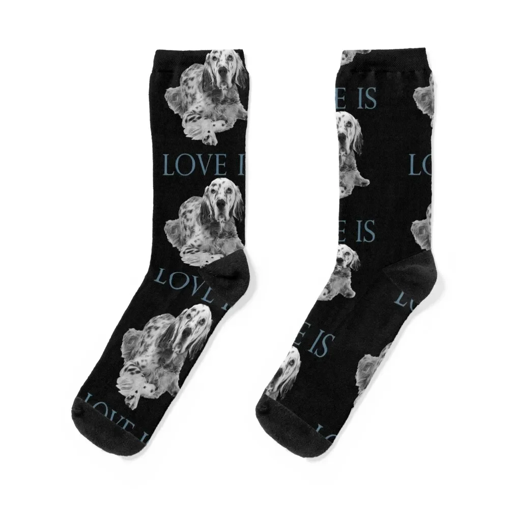 English setter Dog Lover Socks Novelties anti slip football Run Men's Ladies Socks Men's