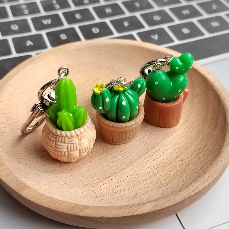 الراتنج ثلاثية الأبعاد الصبار بوعاء المفاتيح كيرينغ للنساء الرجال صديق لطيف الإبداعية عصاري زهرة النبات حقيبة صندوق مفتاح السيارة الملحقات #3