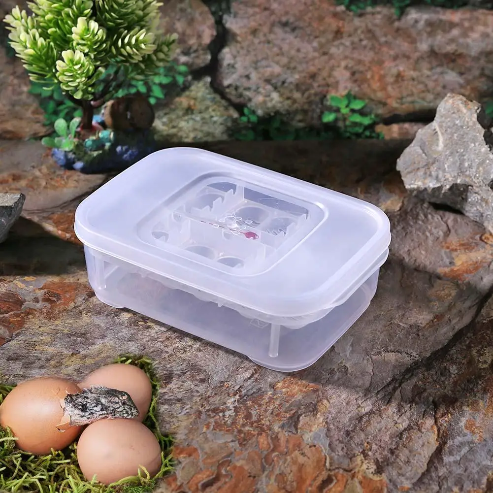 12 Grids Plastic Reptiles Egg Incubator Tray Lizard Snake Eggs Hatcher Box Case Necessary Household Pet Hatching Supplies