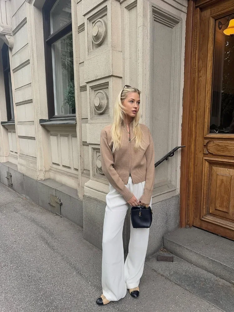 Women Chic Knitted Zip Solid Color Cardigan Front Style Loose Long Sleeve Design Coat Office Commute Autumn Outerwear 2025