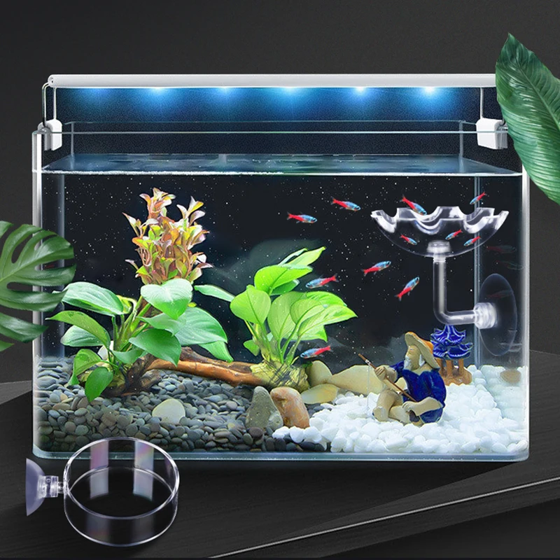 HighTransparent Acrylic Aquarium Fish Tank Shrimp Food Feeding Circle Feeder Floating Bottom Feeder Fish Shrimp With Suction Cup