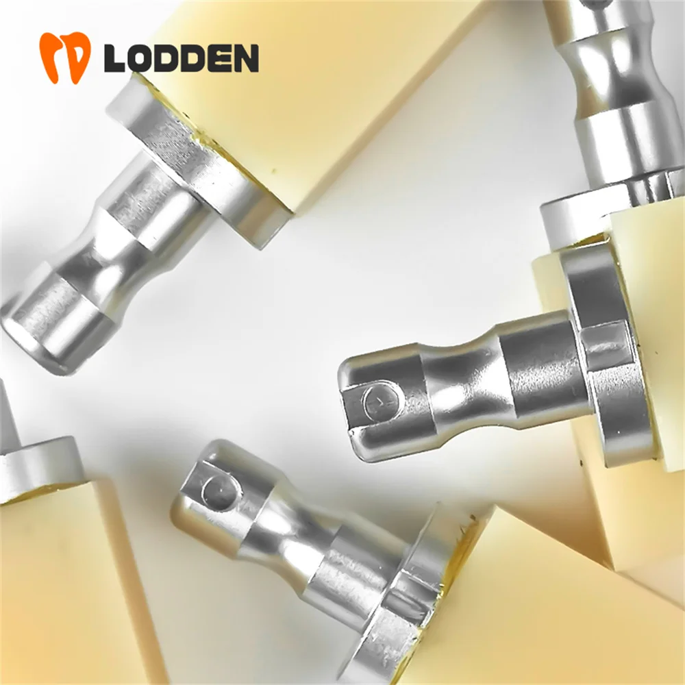 LODDEN 1 Box B40 Dental Materials PMMA Blocks C14 Dentistry Supplies Resin for CAD/CAM Sirona CEREC Dentist Tools Colors VITA16
