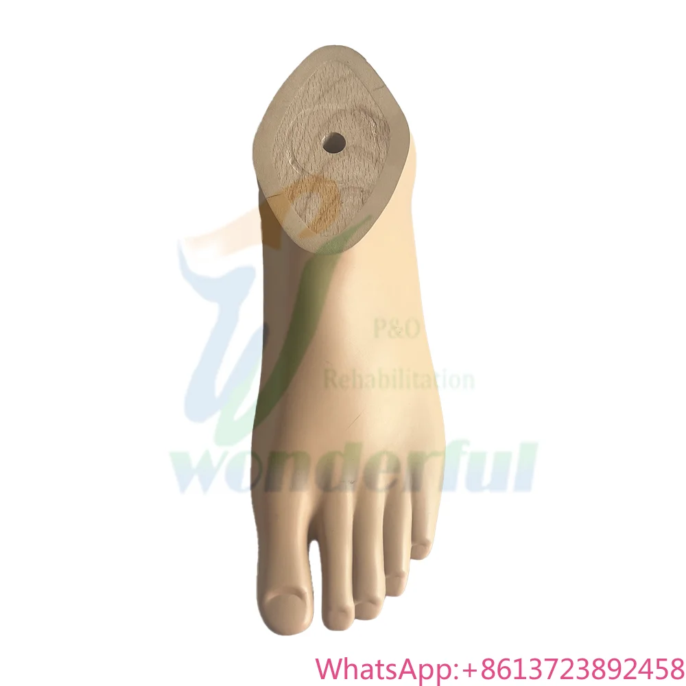 

Manufacturer Wholesale Artificial Prosthetic Foot Brown or Beige High Quality Prosthetic Foot Sach Foot Prosthetic Leg Sach Feet