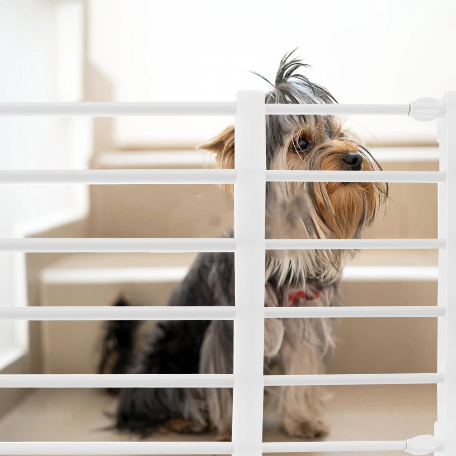 

Freestanding Adjustable Pet Gate Retractable Indoor Dog Fence Easy Install Safety Gate For Stairs Doorways Puppy Barrier