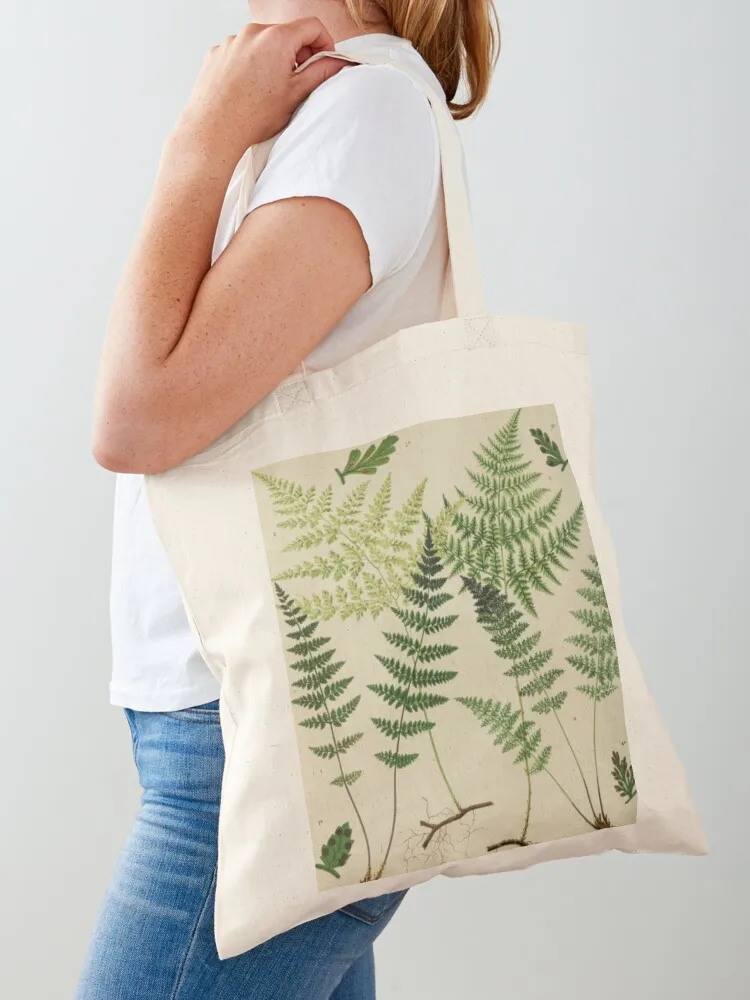 Botanical Ferns Tote Bag bags woman 2025 tote bag men's bag for beach