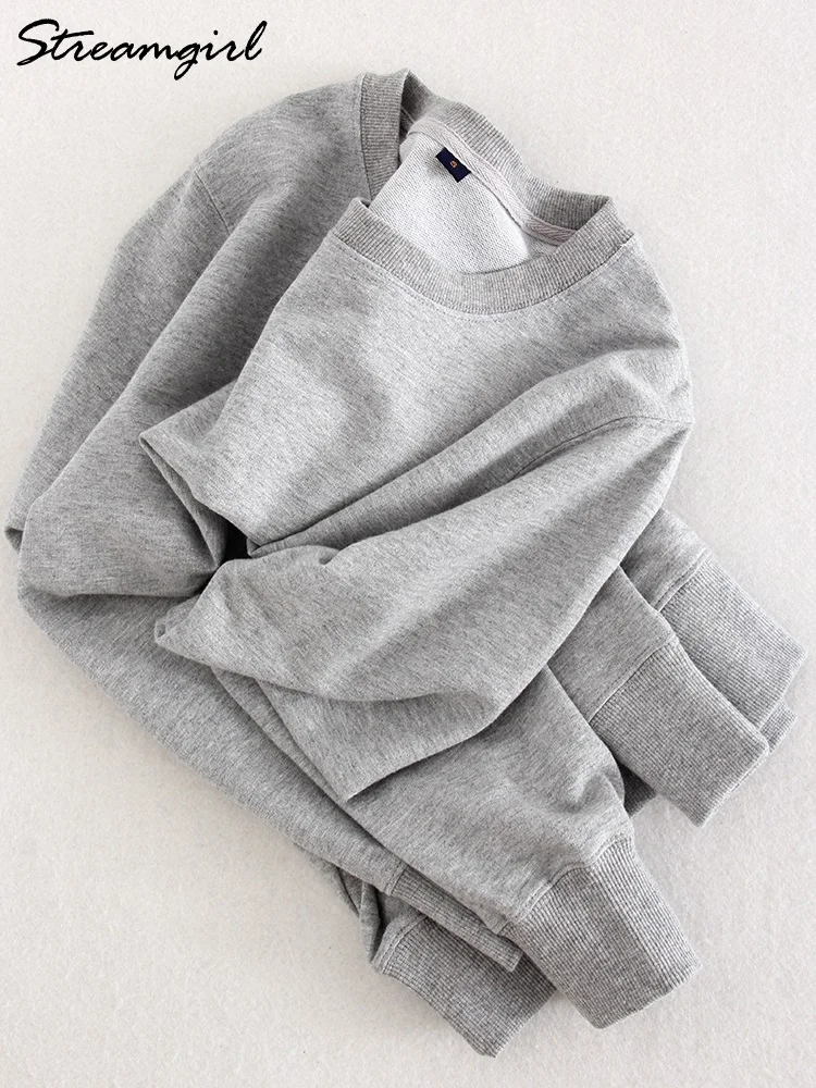 Streamgirl Winter 2023 Women Sweatshirts Warm Casual Slim Fleece Pullovers Gray Velvet Winter Sweatshirts For Women Winter