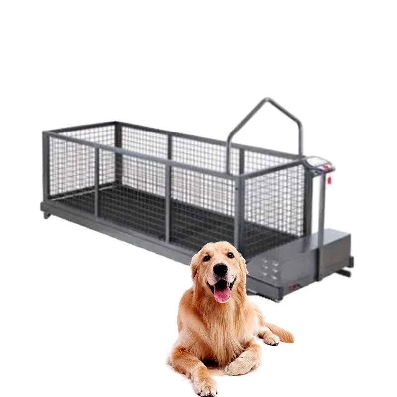 Dog Training Equipment Eco-friendly Dog Treadmill Pet Treadmill On Stock