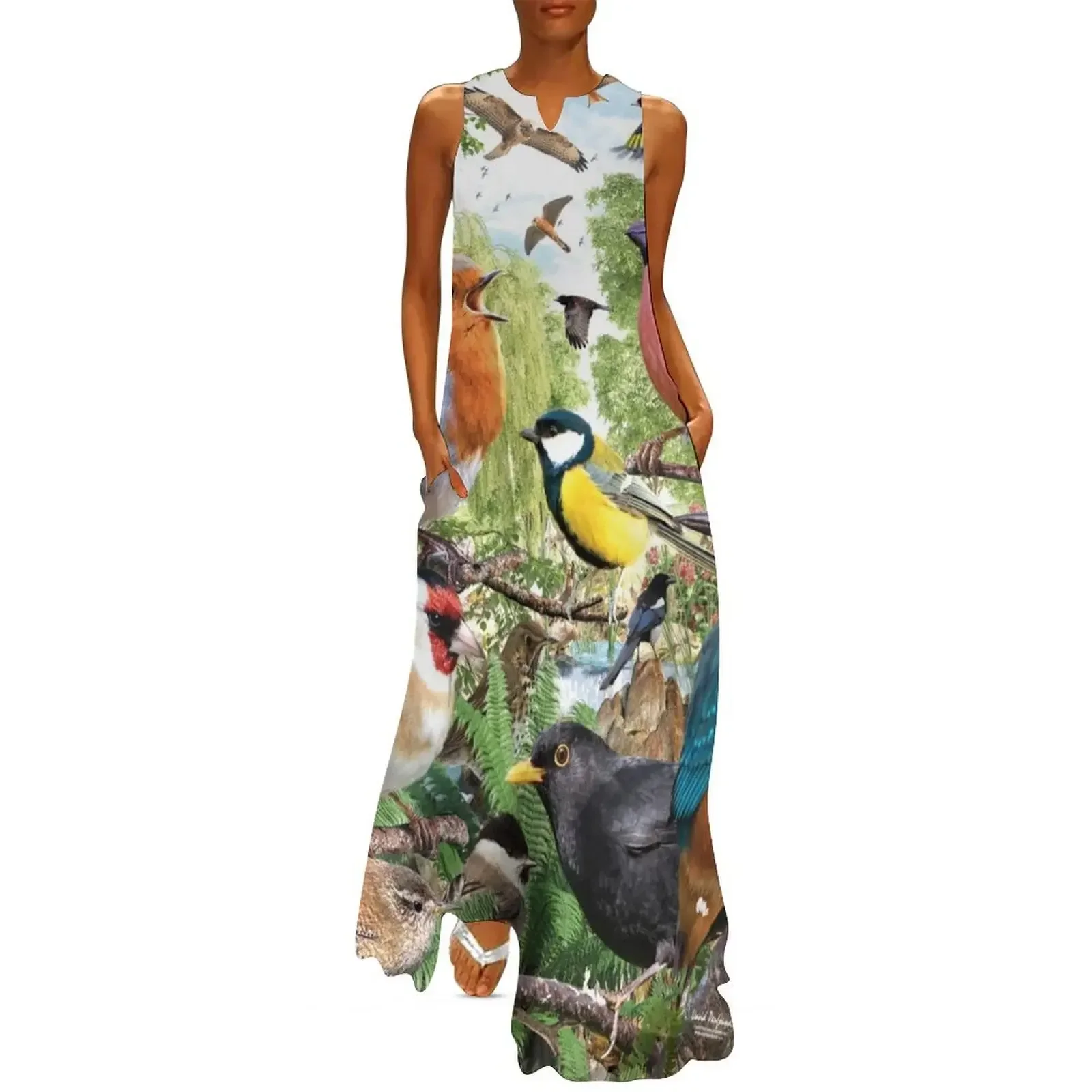 

British Birds Long Dress birthday dress for women women clothes summer dress woman 2025 trendy