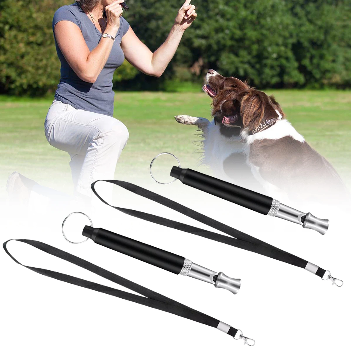 

2pcs Dog Whistle Dog Flute Metal Ultrasonic Adjustable Rope Trainer Pet Trainer