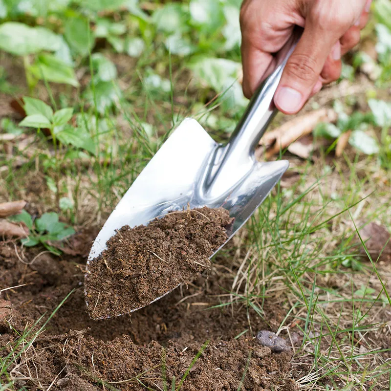 Pala pequeña de acero inoxidable para plantar flores, herramienta de jardín, pala para plantar verduras en maceta, jardinería, excavación de carne