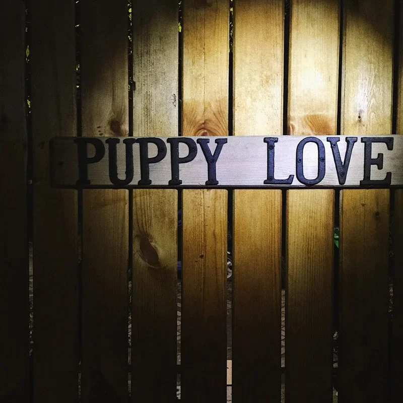 Metal Numbers Wall Mounted Durable Cast Iron House Letters and Numbers Sign for House Address Signs Outdoor