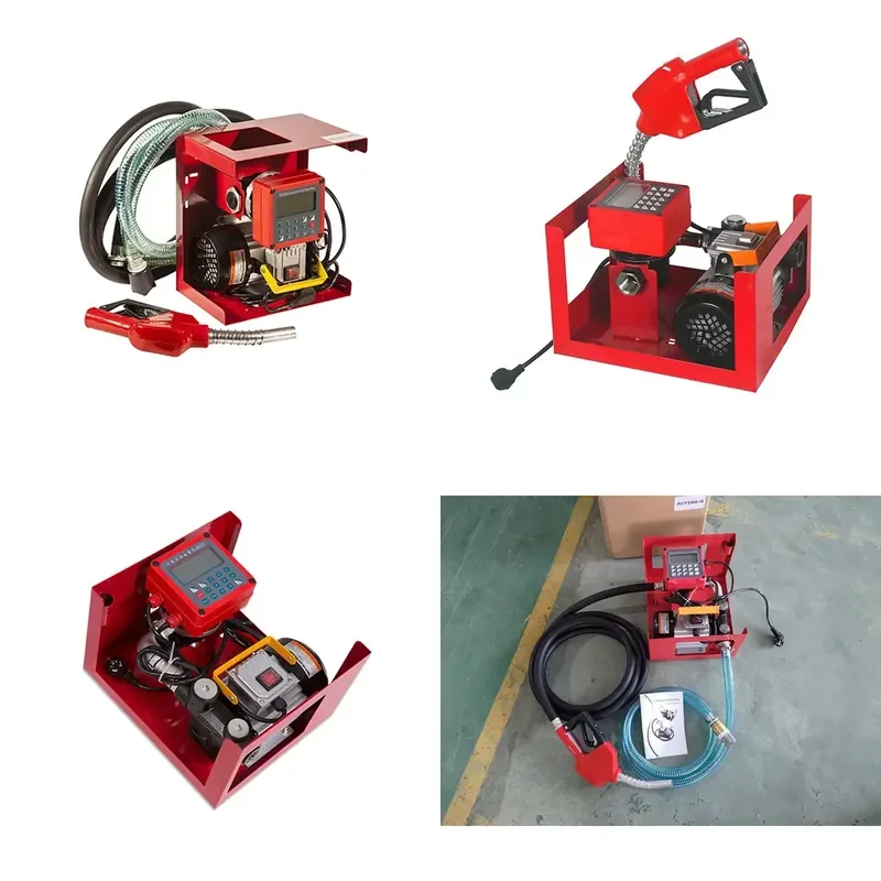 12 V DC 220V Transfer Fuel Pump with Flow Meter and Nozzle for Mobile Refueling