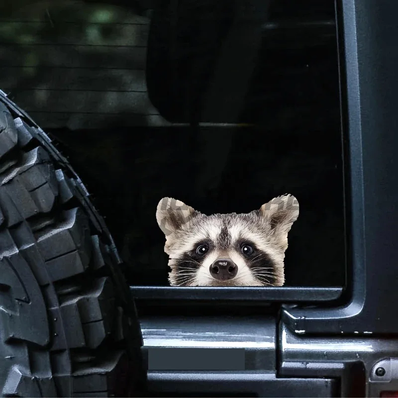 

Cartoon Raccoon Car Stickers Scratch Blocking Self-Adhesive Decal, Used for Car, Laptop, Motorcycle, Van, RV