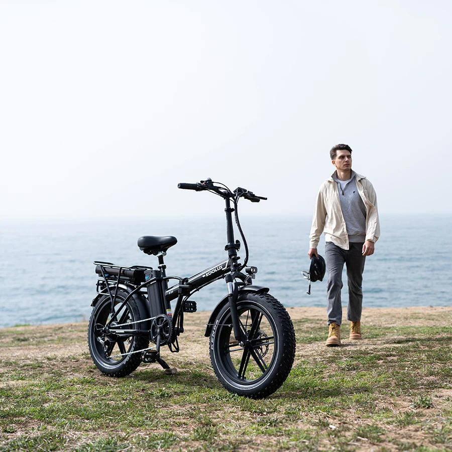 X11S Brushless 250W 48V Folding Electric Bike Aluminum Alloy Frame Fat Tire Hydraulic Disc Brakes Removable Battery LED