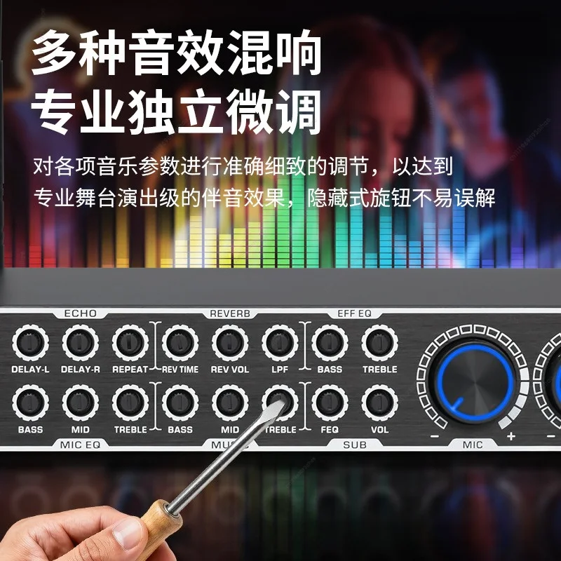 KTV Preamp Reverb Effect Processor Anti-howling Noise Reduction for Karaoke Live