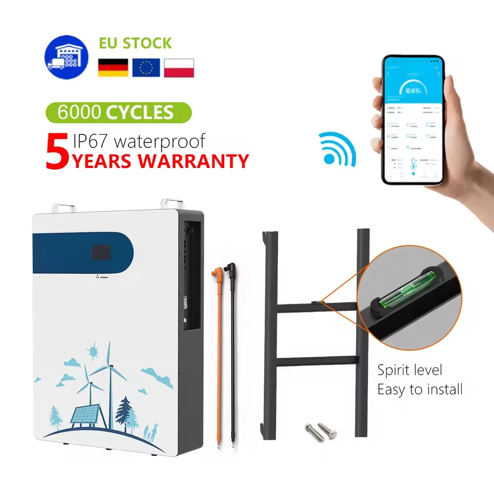 

51.2V 200Ah 10KWh LiFePO4 Battery Smart BMS Inverter 6000 Cycles Home Solar Energy Storage CAN Communication Port IP65