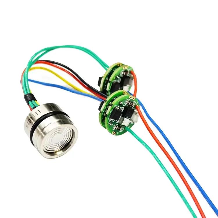 4-20mA Output High Accuracy Water/Air Piezoresistive Pressure Sensor Transmitter SS304 Material IP65/IP68