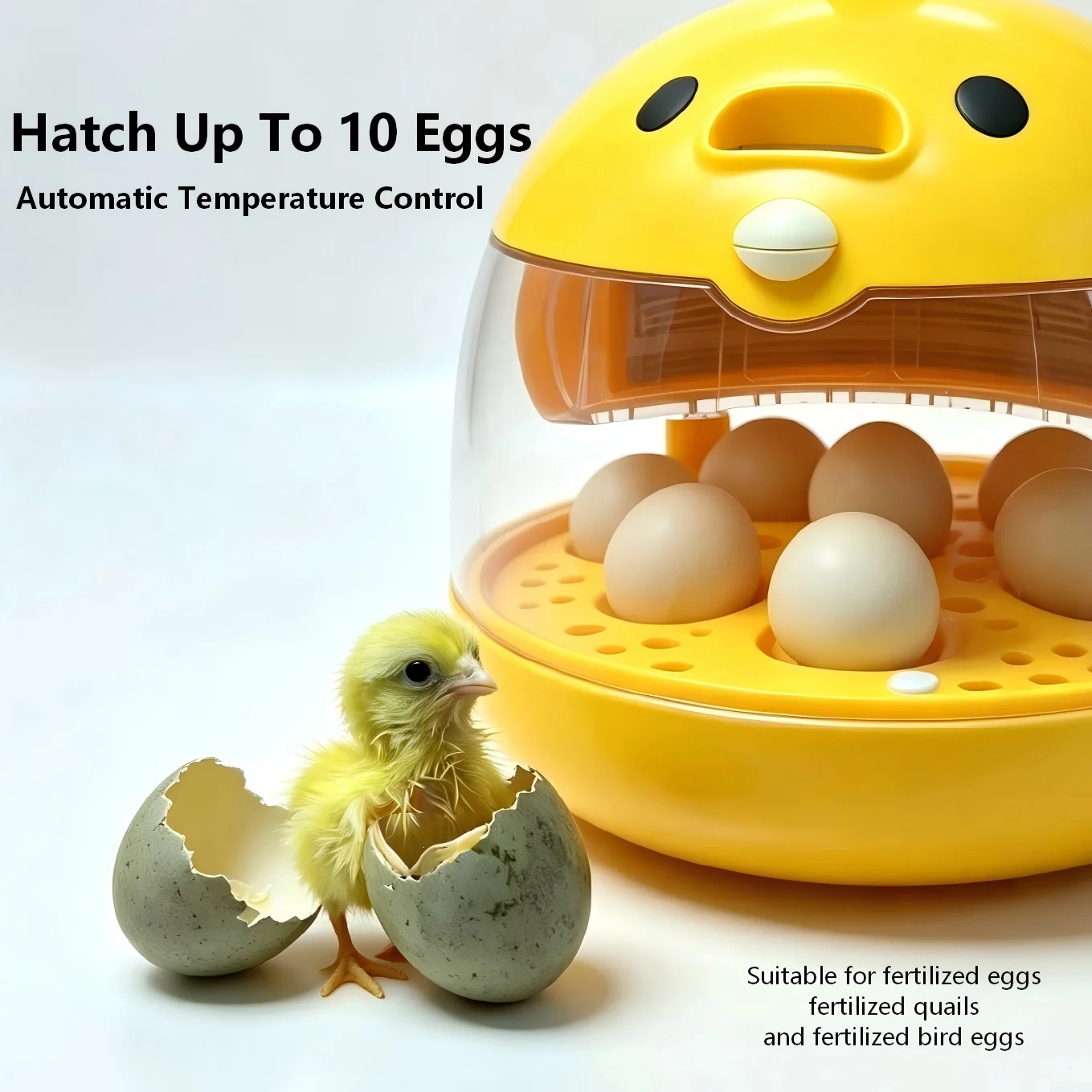 Mini Egg Incubator 5-10 Capacity Automatic Hatching Machine LED Display Temperature Control for Chicken Duck Poultry