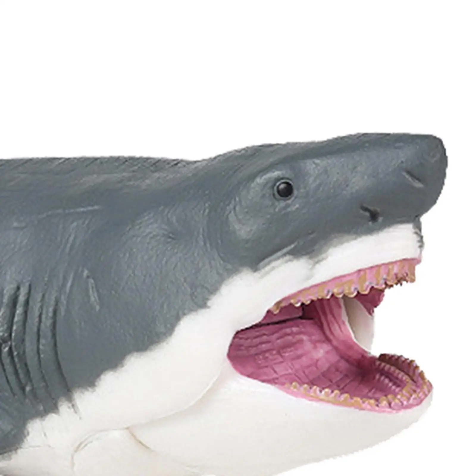 Ocean Animal Simulation Sea Figurine Monster Ancient Megalodon Big Shark Fish Model for Children
