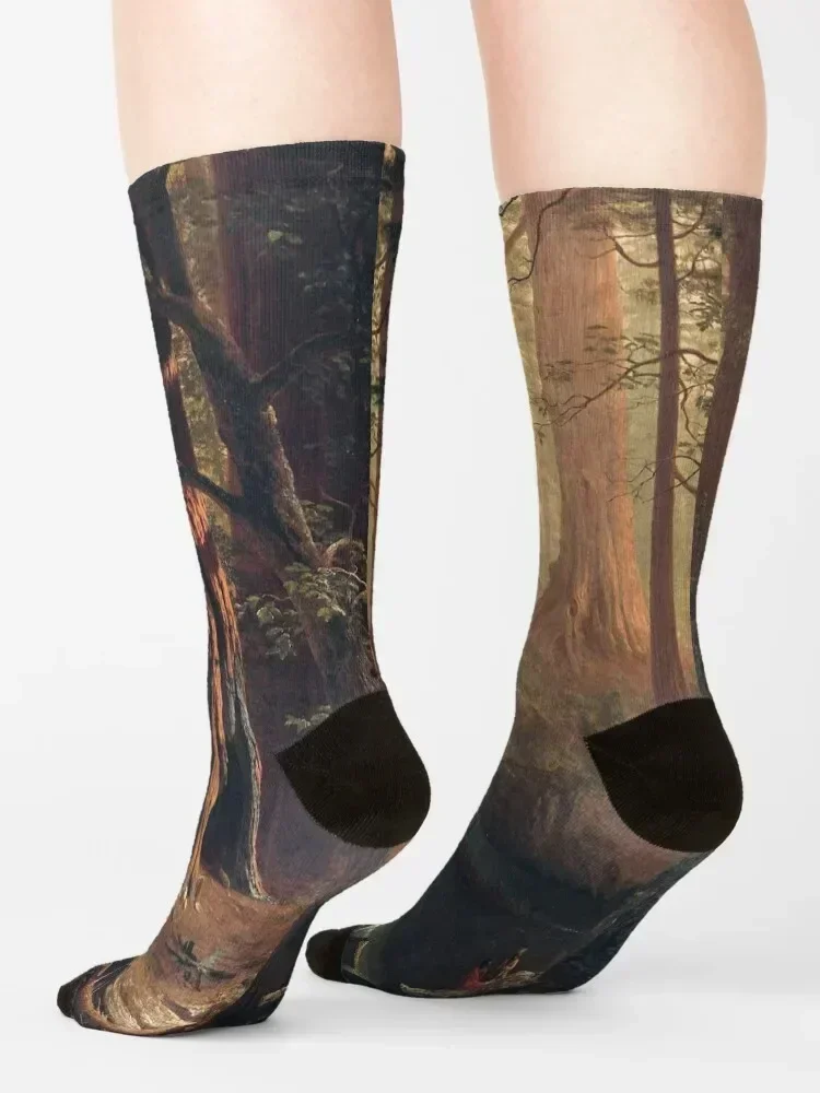 Giant Redwood Trees of California - Albert Bierstadt Socks cute Novelties Soccer Climbing Luxury Woman Socks Men's