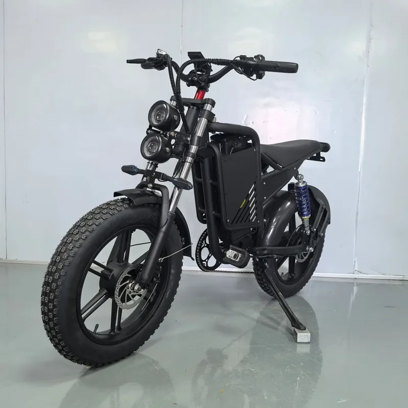 K15 Electric Bicycle Dual Motor E-Bike Booster Dual Shock Absorption Dual Drive Motor Electric Vehicle