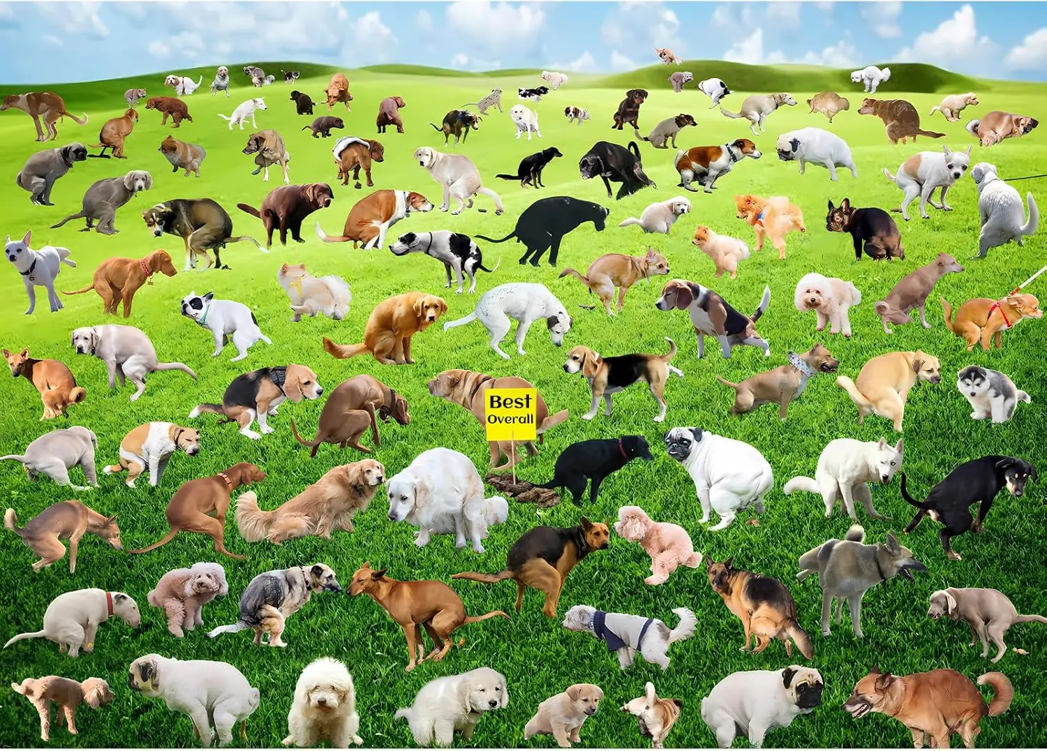 

Dogs Meadow Collection Wooden Jigsaw Puzzle 300 500 Pieces Hobby Craft for Pet Lovers Weekend Relax Game Room Wall Hanging Decor