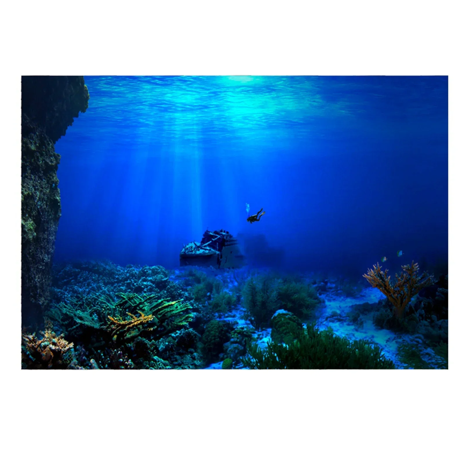 

Rainforest Aquarium Background Poster Fish Tank Reptile Box PVC 3D Underwater World Landscape Picture Decor Backdrop Wallpaper