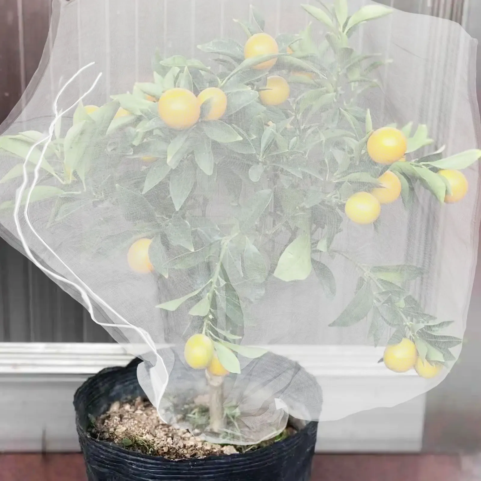 8 pezzi rete per insetti da giardino coperture per piante a maglia fine con coulisse cerniera sacchetti per rete per alberi da frutto per cespugli di mirtilli pomodori