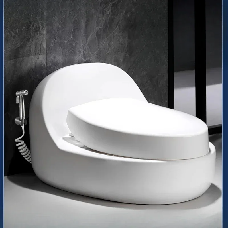 Toilet toilet modification   toilet desktop   integrated squatting and sitting two-in-one dual-purpose
