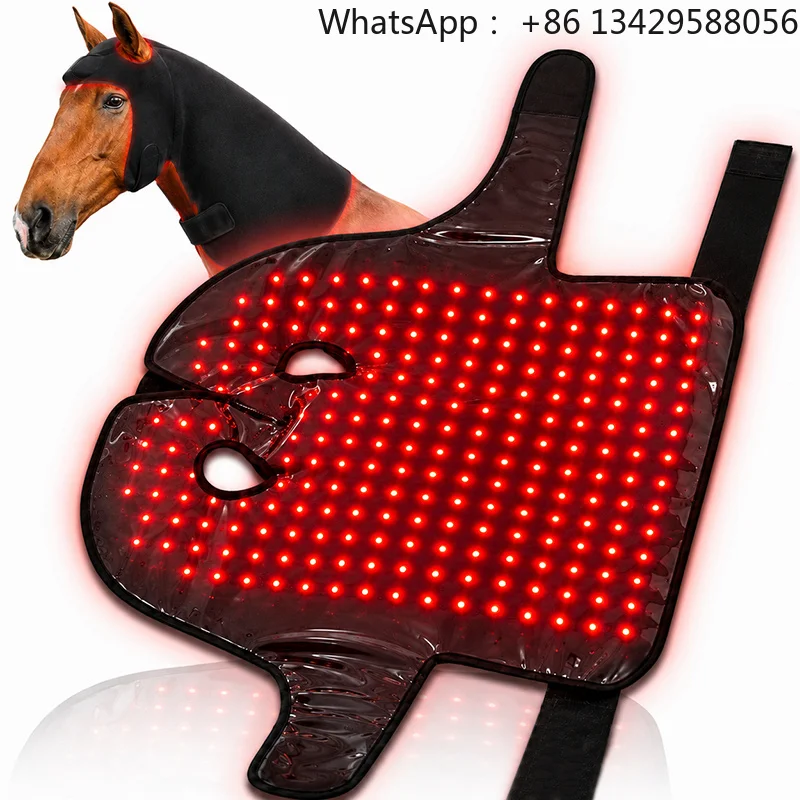 Rechargeable Equine Red Infrared Light Therapy for Horse Poll Cap 660nm 850nm Horse Red Light Therapy Equipment