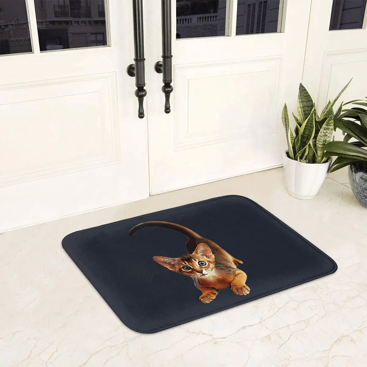 Abyssinian Cat Doormat Non-slip Super Absorbent Bathroom Floor Mats Home Entrance Rug Kitchen Living Room Carpet Outdoor Footpad